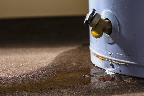 Best Water damage restoration near me  in Bellows Falls, VT