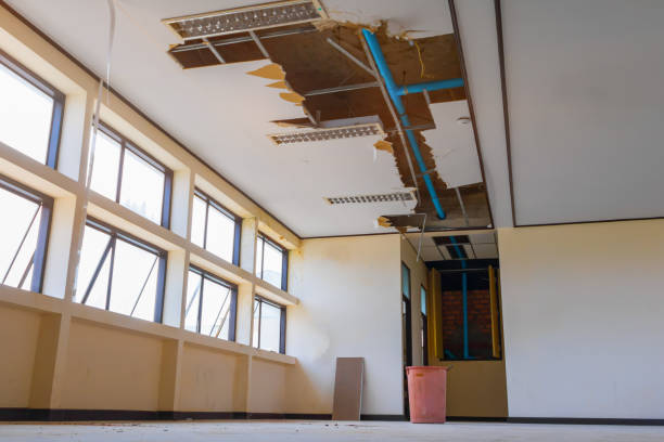 Best Water damage restoration process  in Bellows Falls, VT