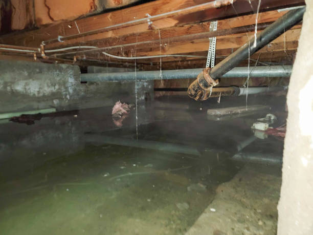  Bellows Falls, VT Water damage restoration Pros
