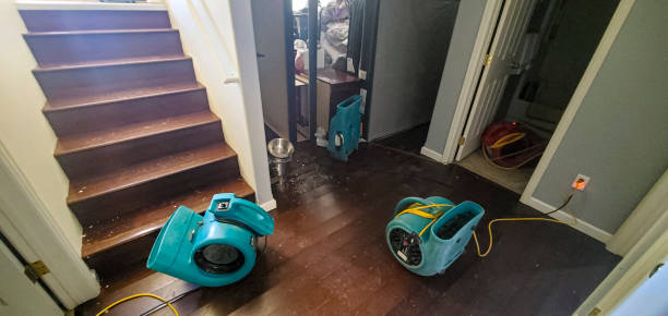 Best Commercial water damage restoration  in Bellows Falls, VT