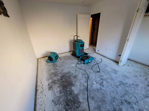 Best Water damage restoration company  in Bellows Falls, VT