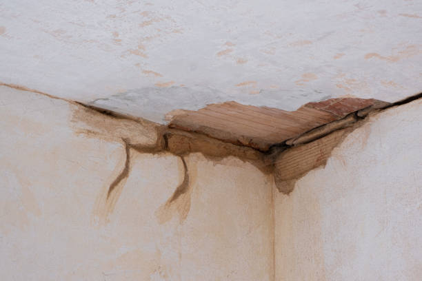 Best 24/7 water damage repair  in Bellows Falls, VT