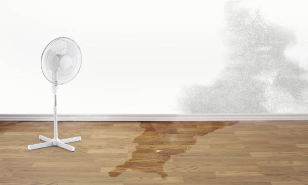 Trusted Bellows Falls, VT Water damage restoration Experts