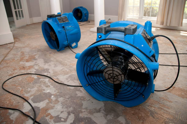 Best Ceiling water damage repair  in Bellows Falls, VT
