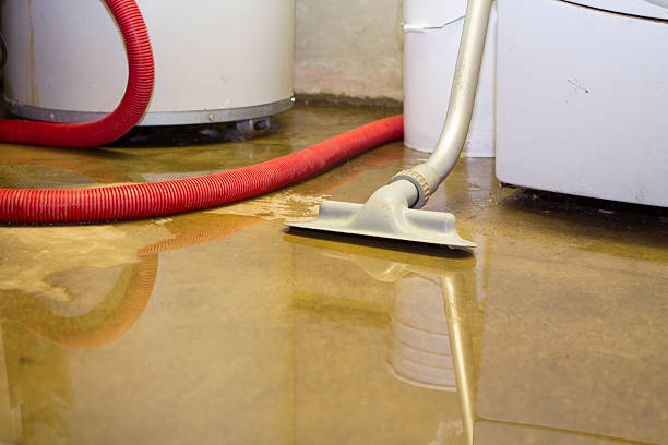 Best Flood damage cleanup  in Bellows Falls, VT