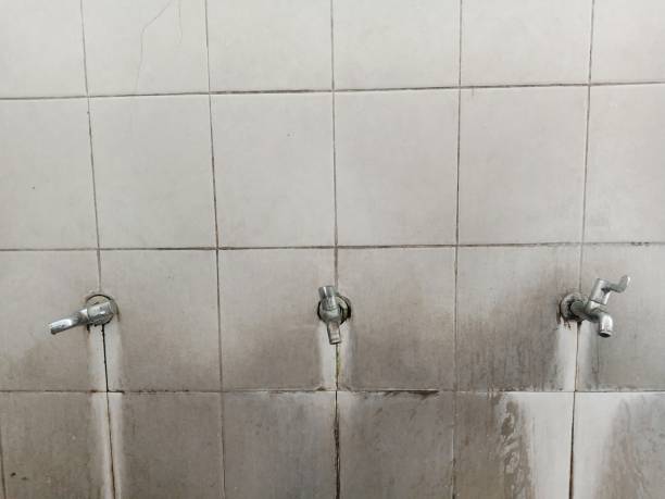 Best 24/7 water damage repair  in Bellows Falls, VT