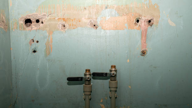Best Mold removal after water damage  in Bellows Falls, VT