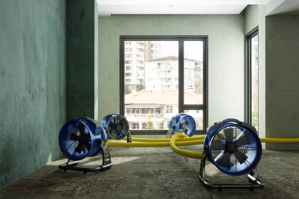 Best Water damage restoration services  in Bellows Falls, VT